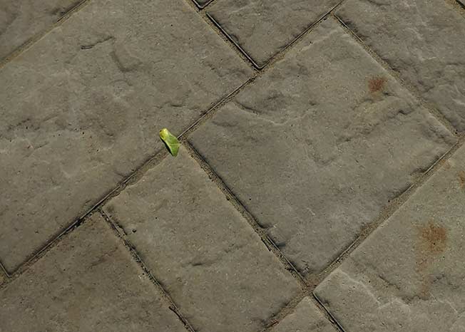 paysagiste brossard asphalte pave uni