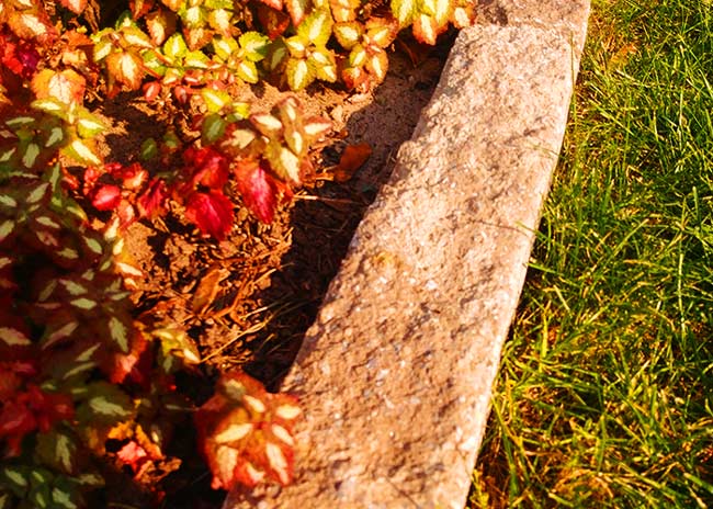 paysagiste longueuil candiac brossard